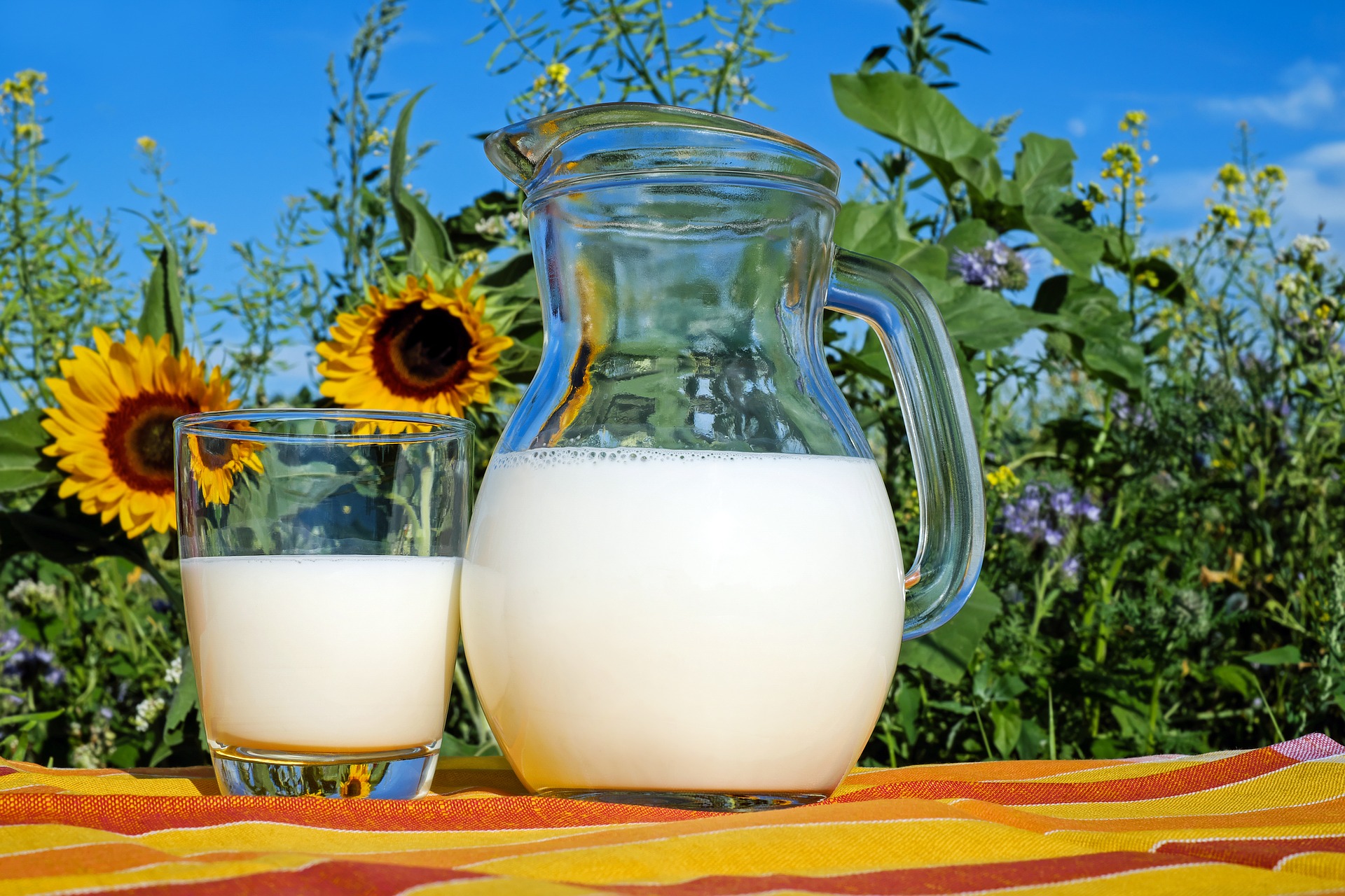 what-you-need-to-know-about-milk-organic-milk-king-kullen