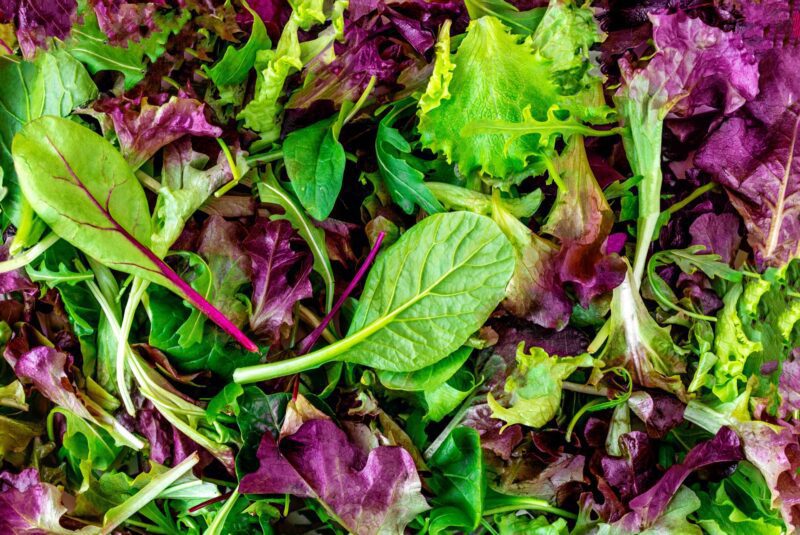 Spring Mix Salad