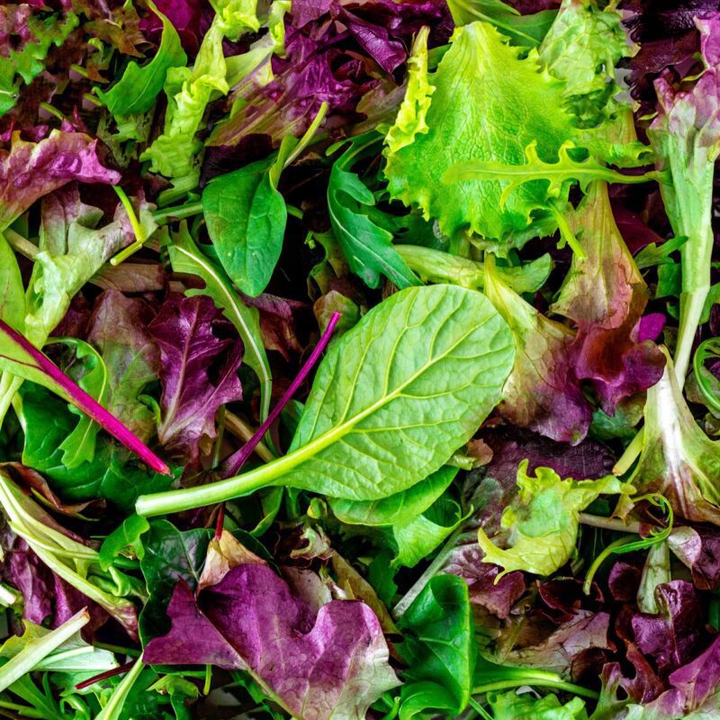 Spring Mix Salad